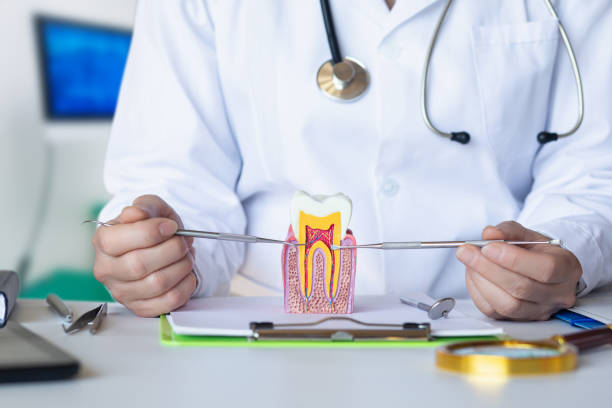 Best Orthodontic Emergency Dentist in Cross Mountain, TX